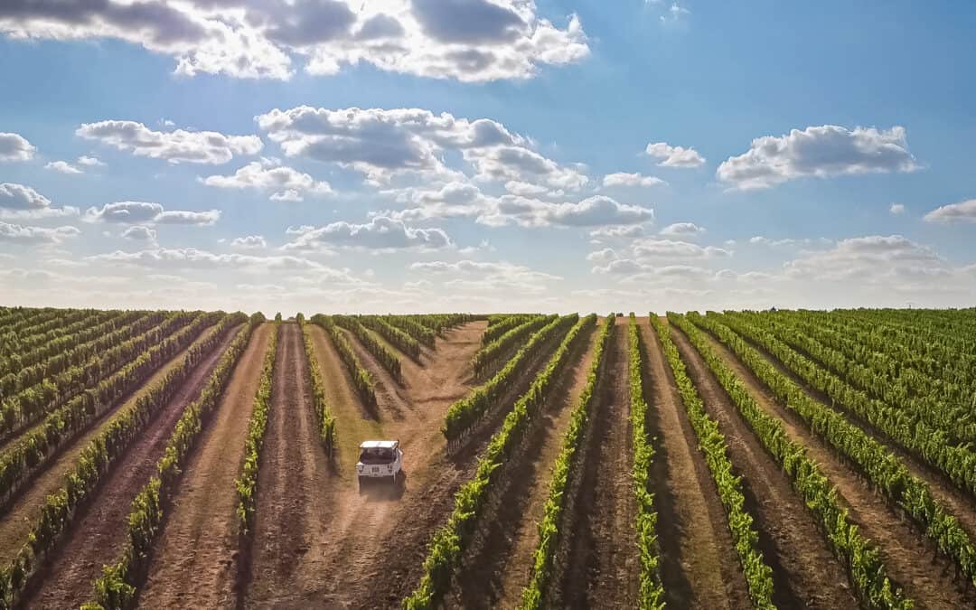 Teaser Balades en Bérioles