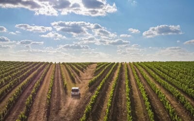 Teaser Balades en Bérioles