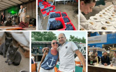 Newsletter de janvier