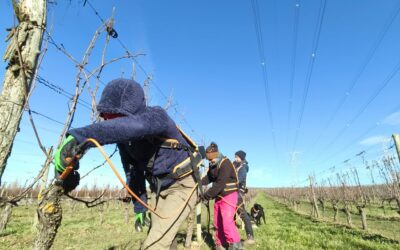 Newsletter de février