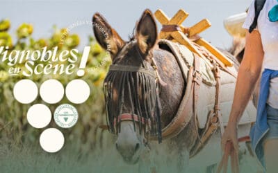 Balade avec les ânes – Vignoble en scène